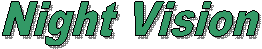 dba Las Vegas TruckVault